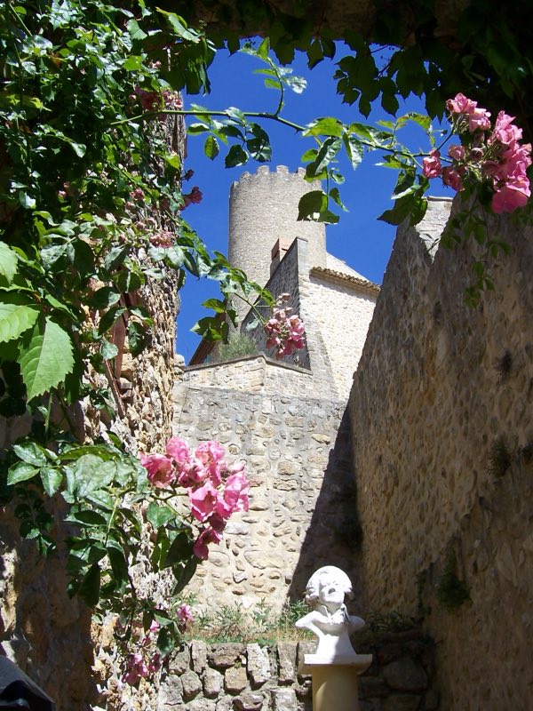 Mur de pierre et rosiers dans une rue du vieux Mirabeau